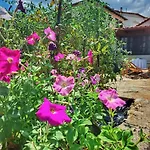 Panthea Apartment
