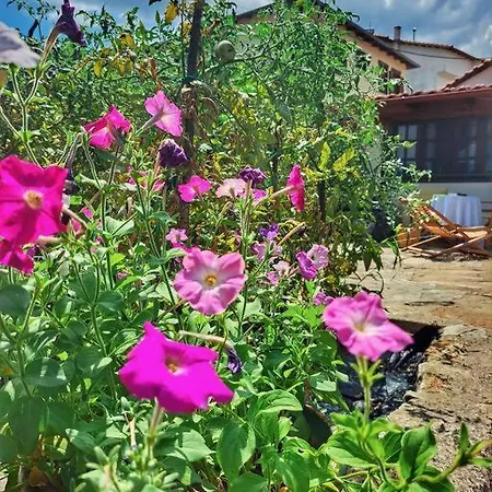 Panthea Appartement